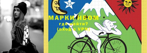 шишки Майский